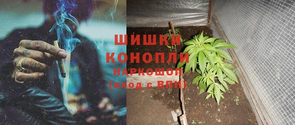 спайс Баксан