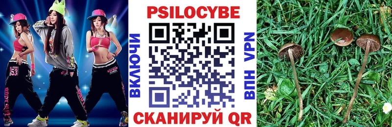 Псилоцибиновые грибы MAGIC MUSHROOMS  Староминская 